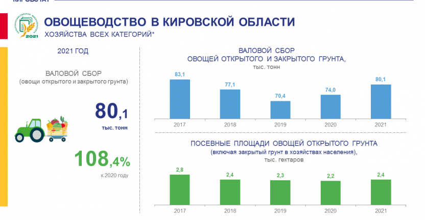 Овощеводство в Кировской области в 2021 году